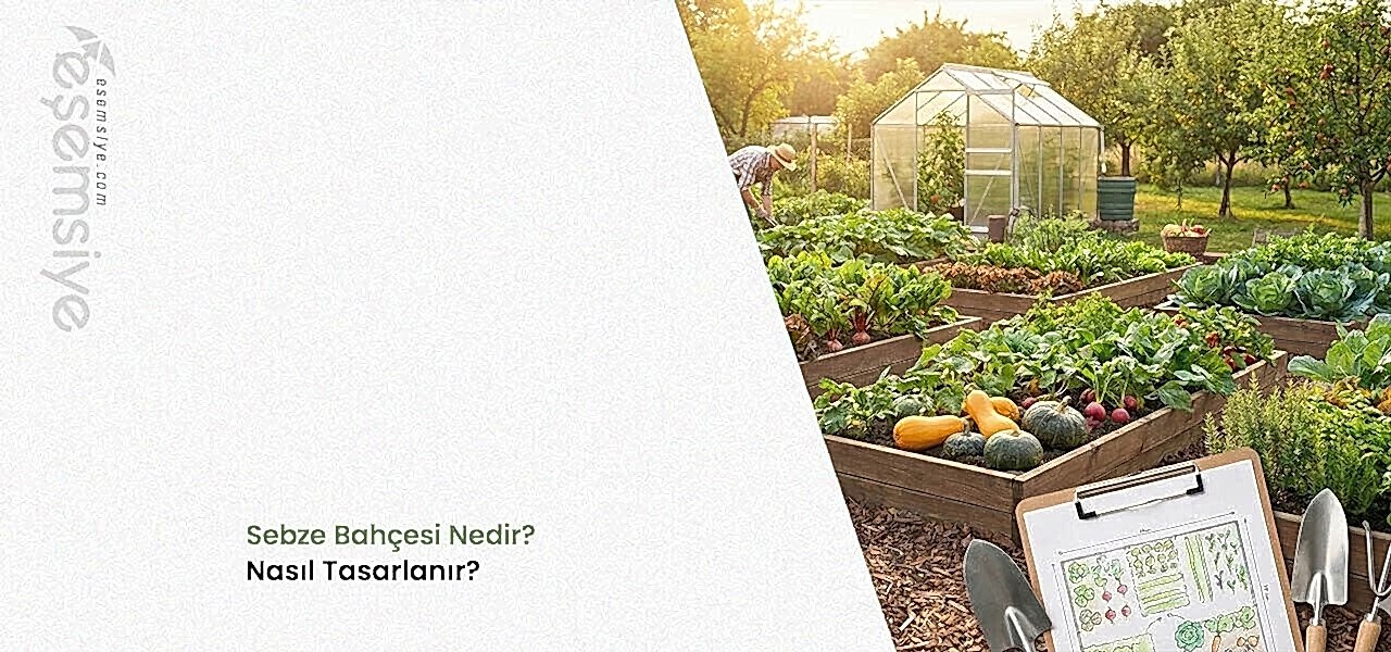 Sebze Bahçesi Tasarımları Nelerdir?